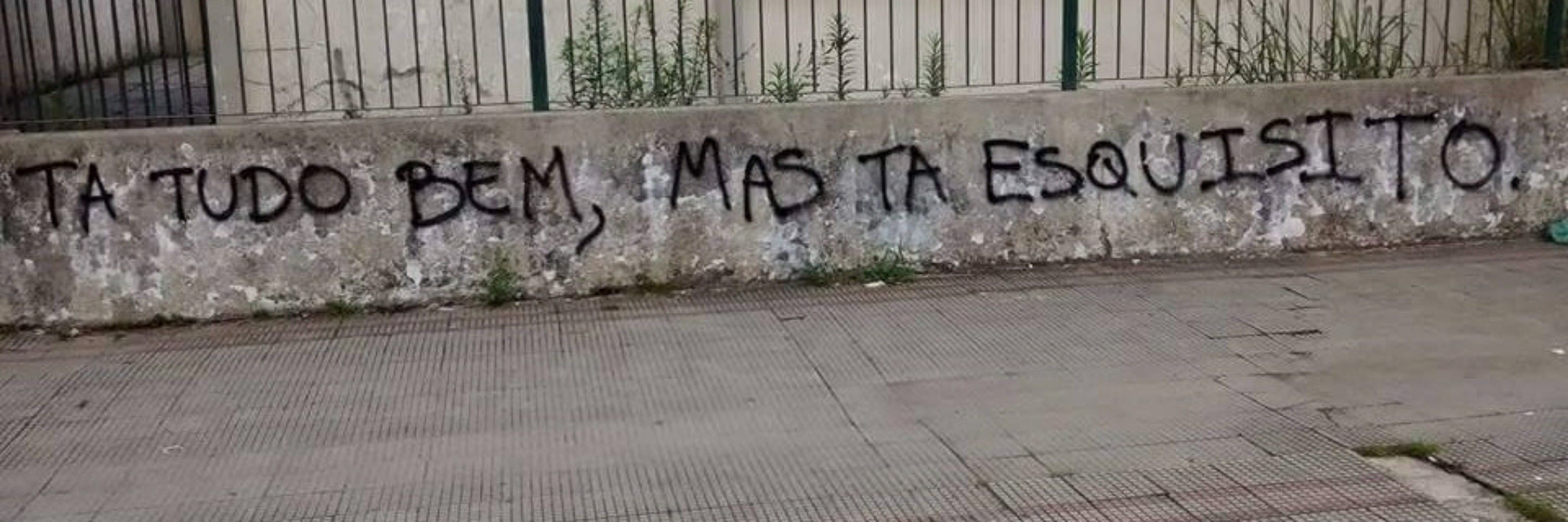 lidi