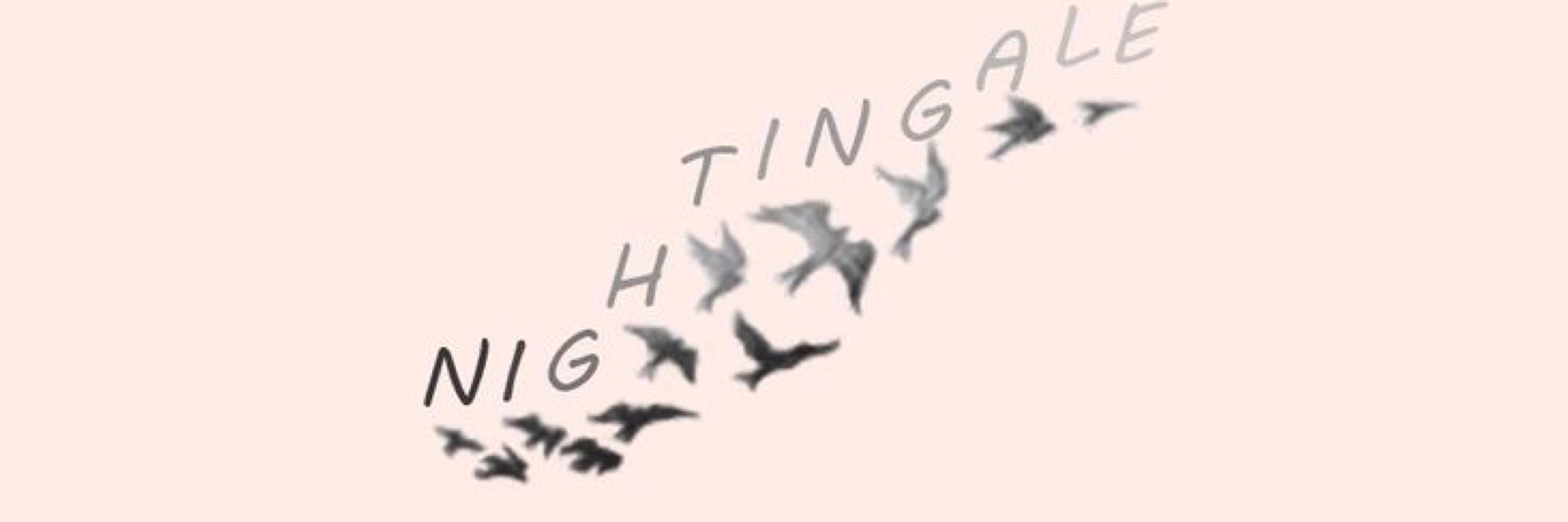 𝑫𝒂𝒏𝒏𝒊 ✨