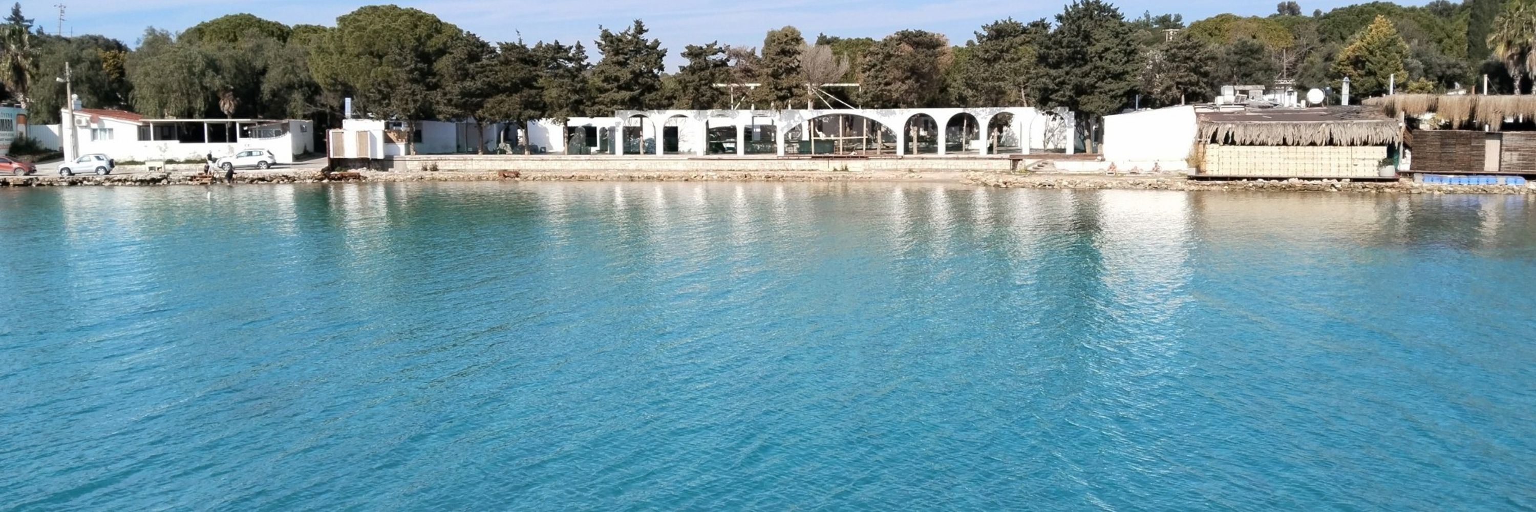 Dinç Alkın
