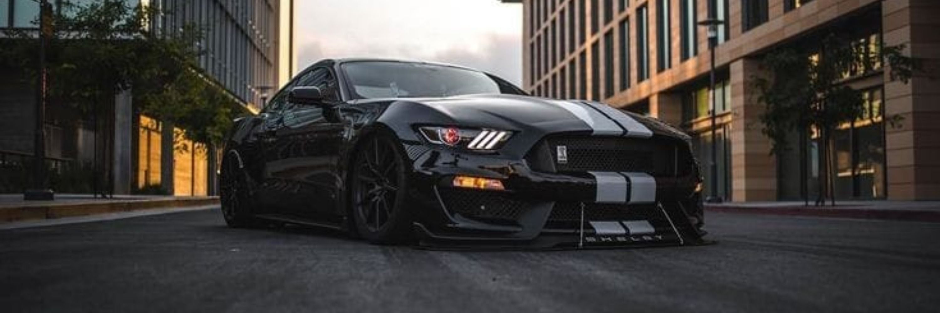 Bene Mustang