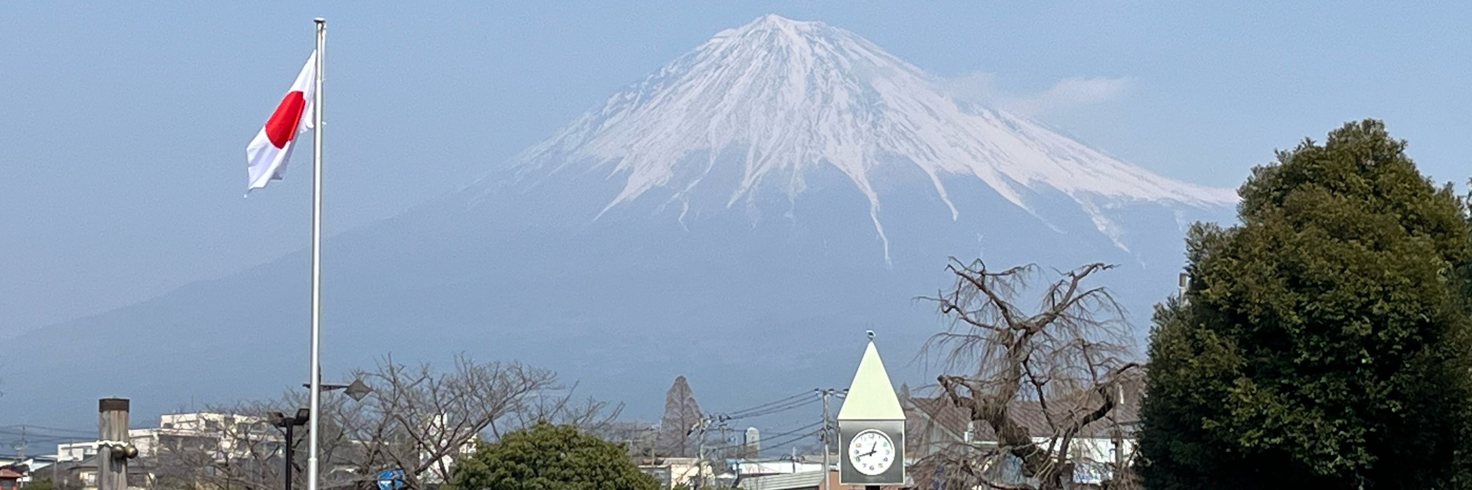 AXXL アクセル