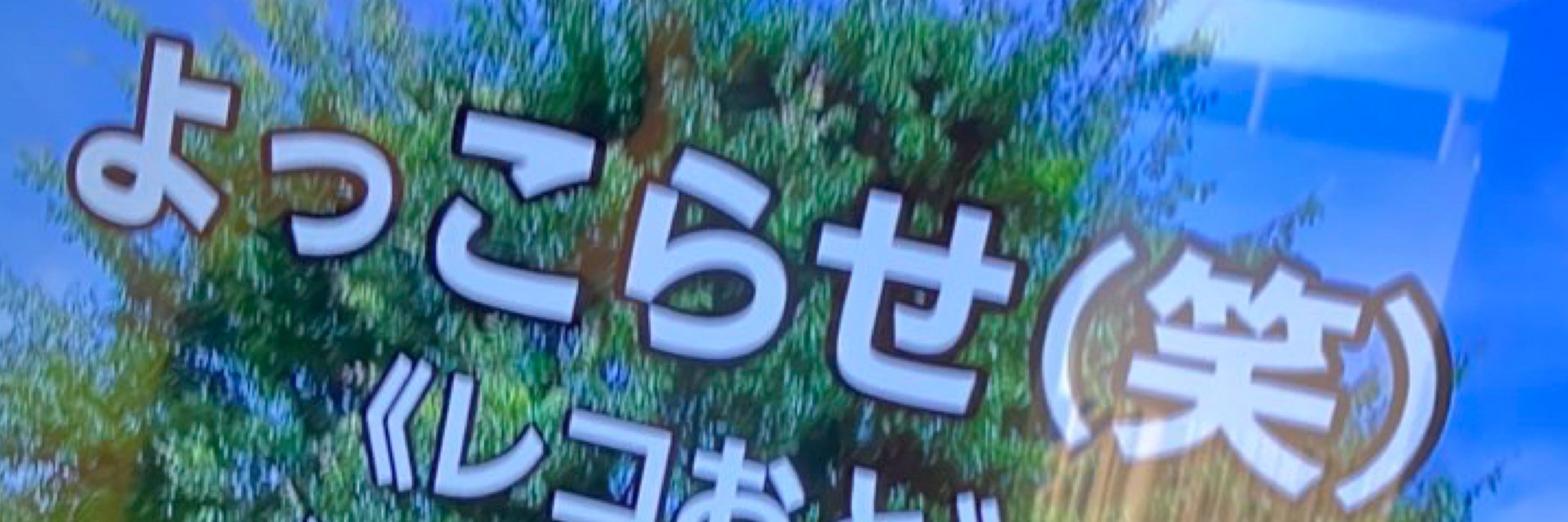 ササミ