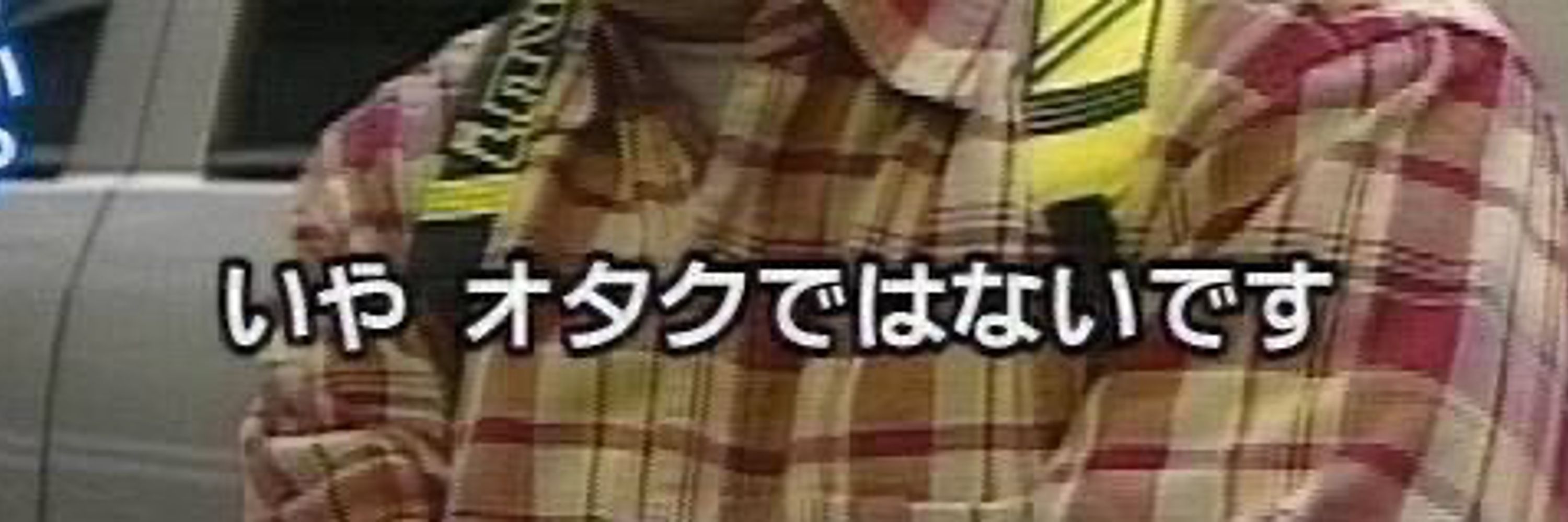 ぽむこ。