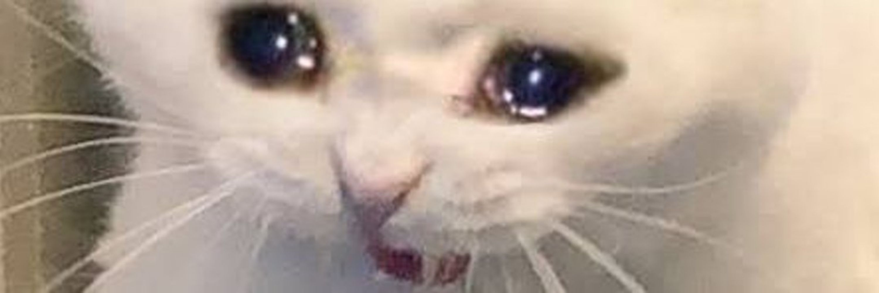 Gih