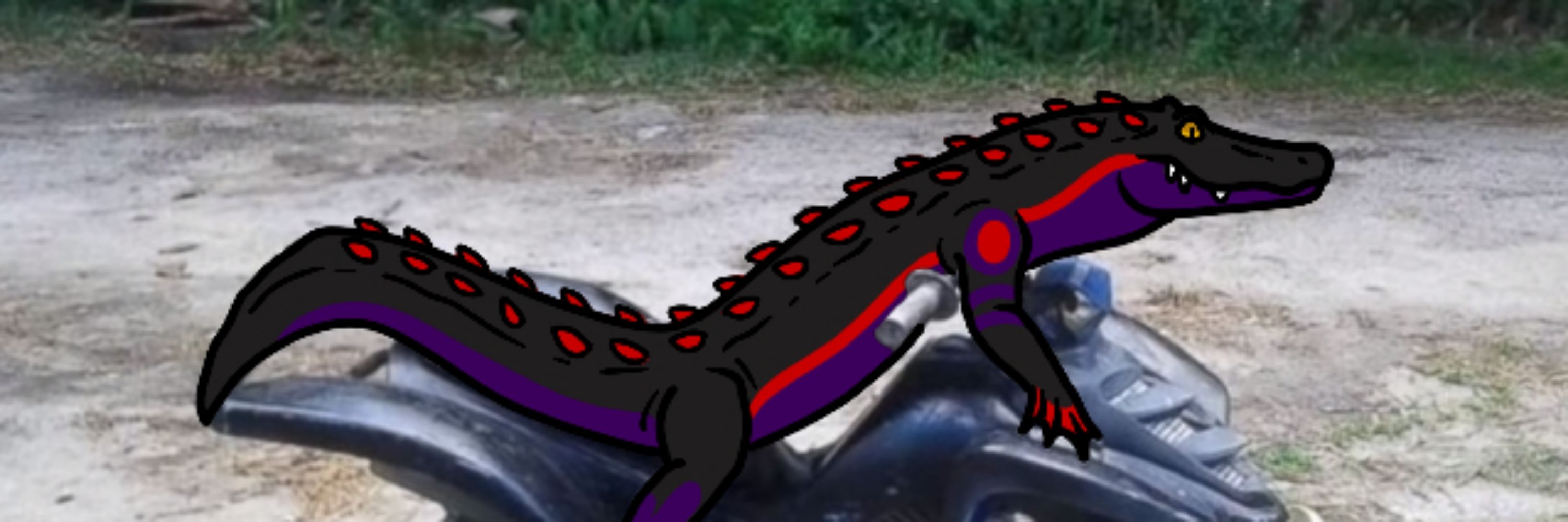 Corey/Gavin/Dolch