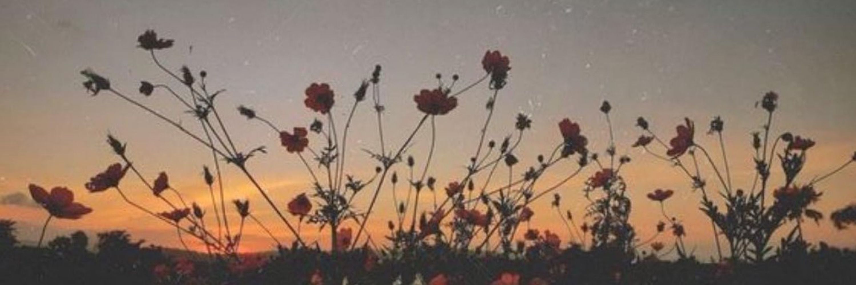 ⋆｡ ﾟ☁️｡ ⋆𝖒𝖘. 𝖑𝖊𝖊｡ ﾟ☾ ﾟ｡ ⋆