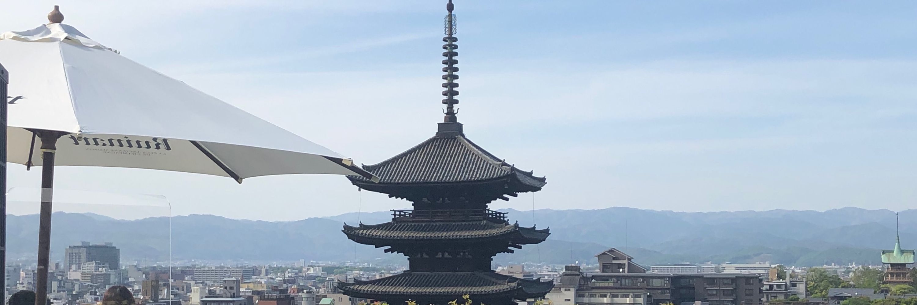 望月麻衣