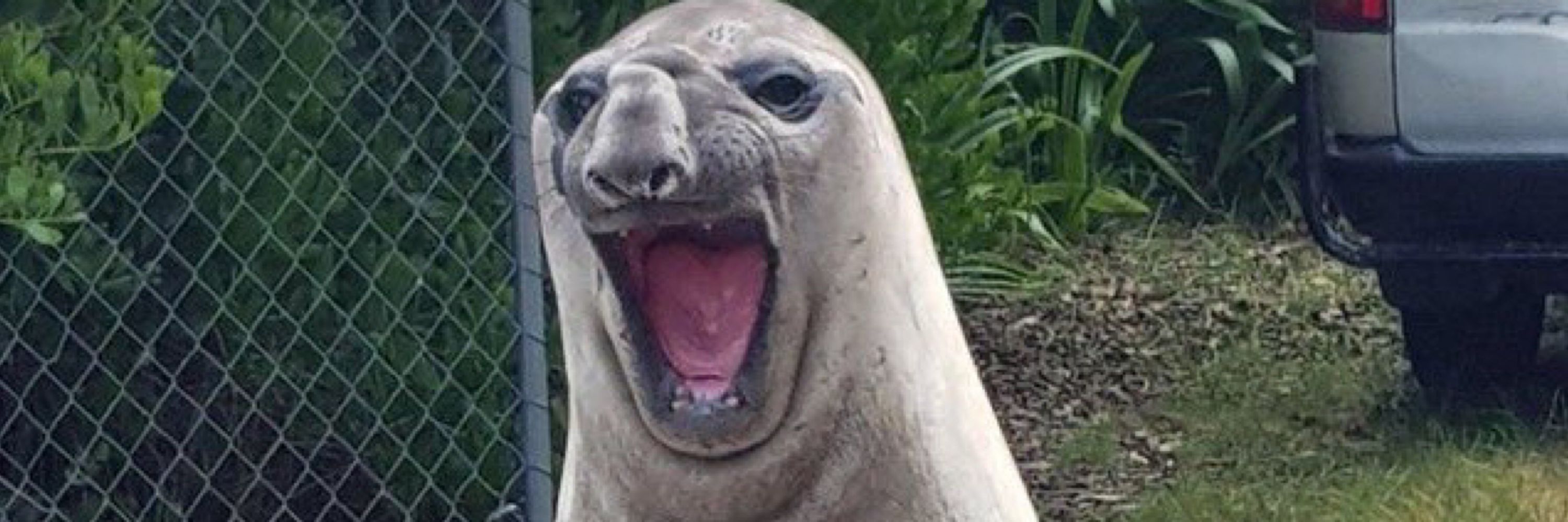 しょ〜〜〜ん