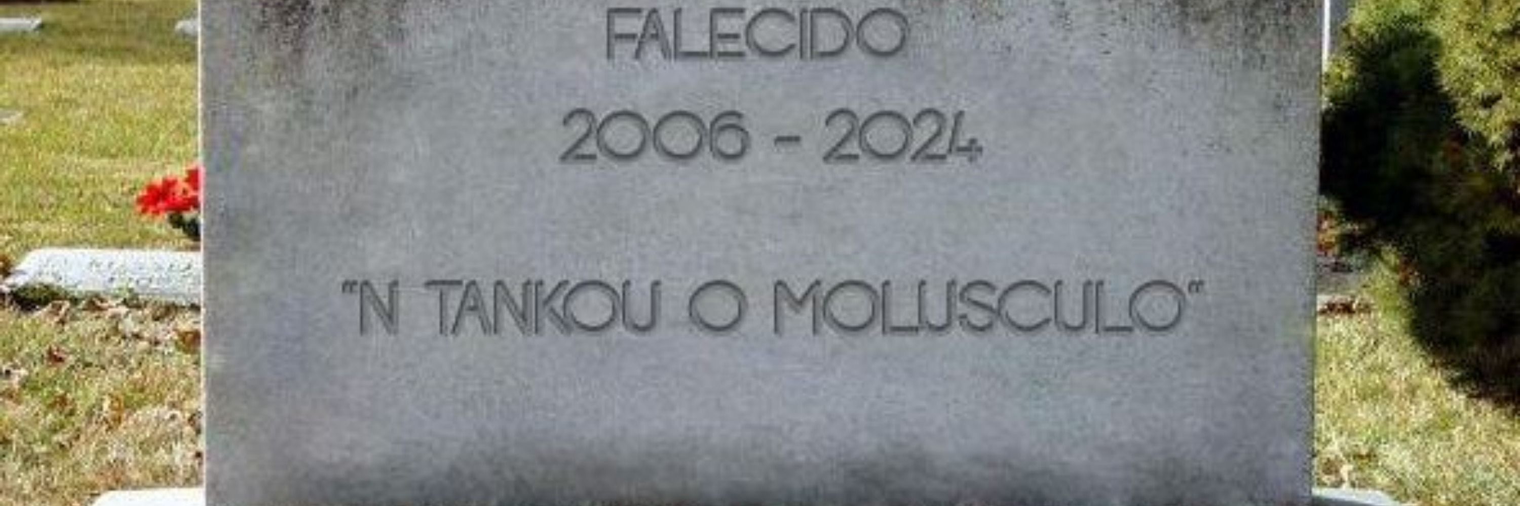 Pérolas do falecido