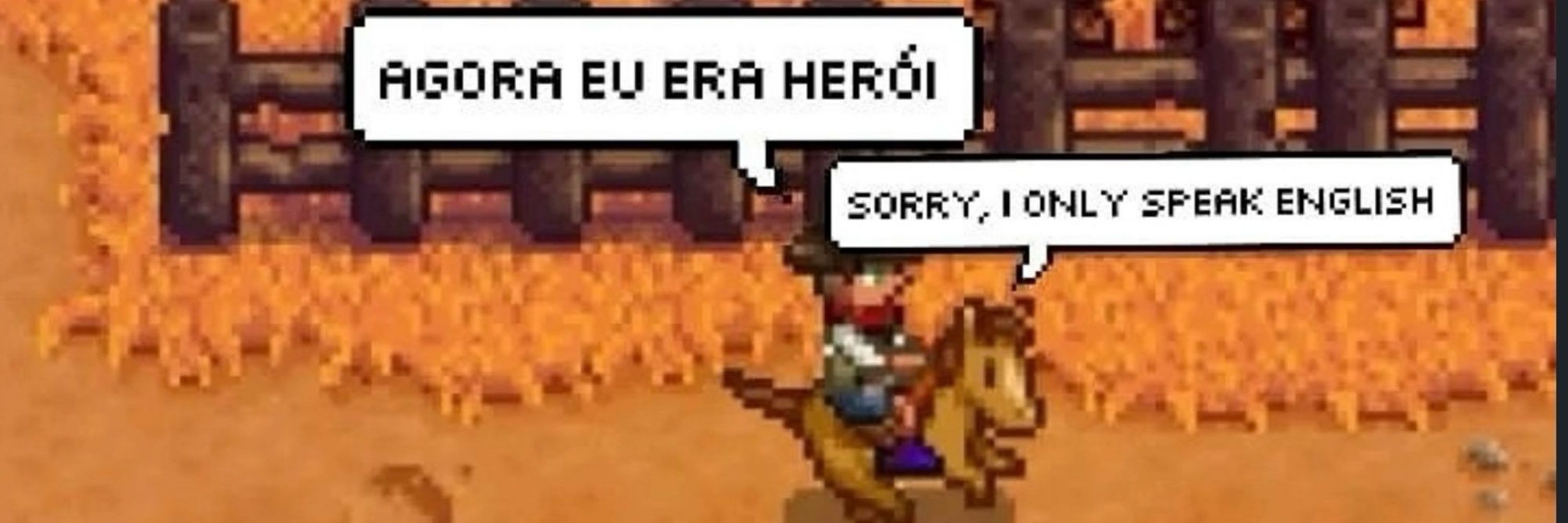 gato preto