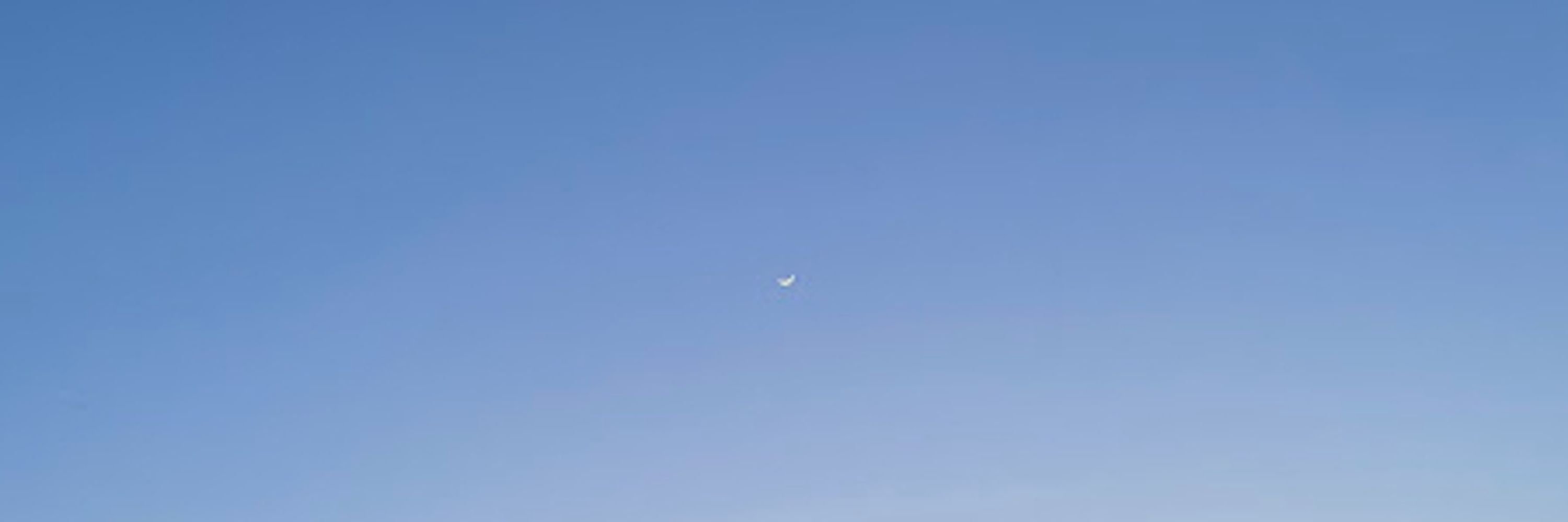偽りの月