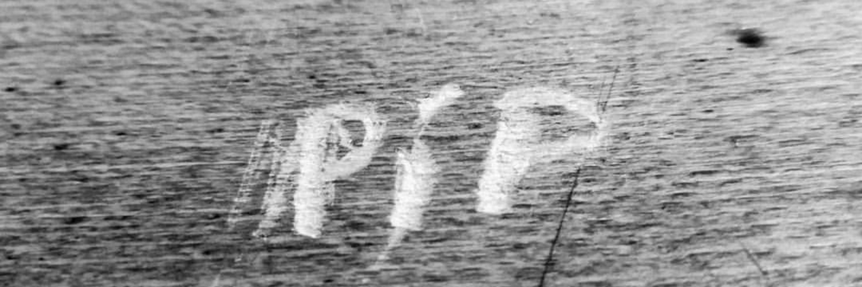 Pip D