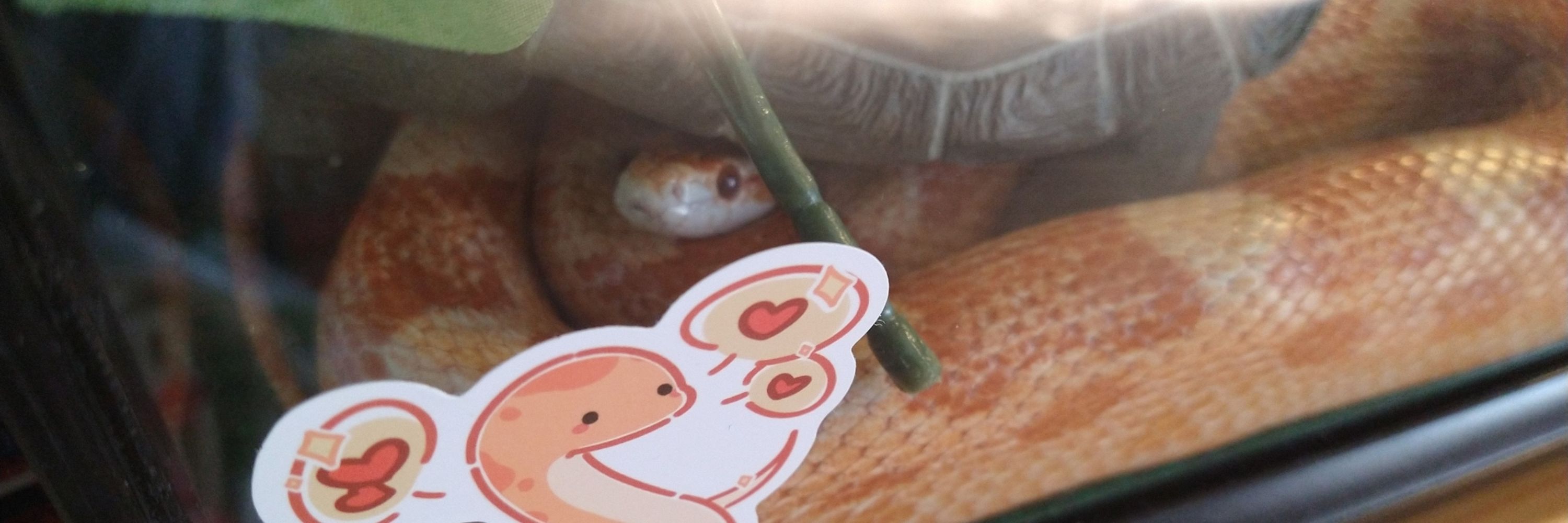 ニライ🌸カナイ