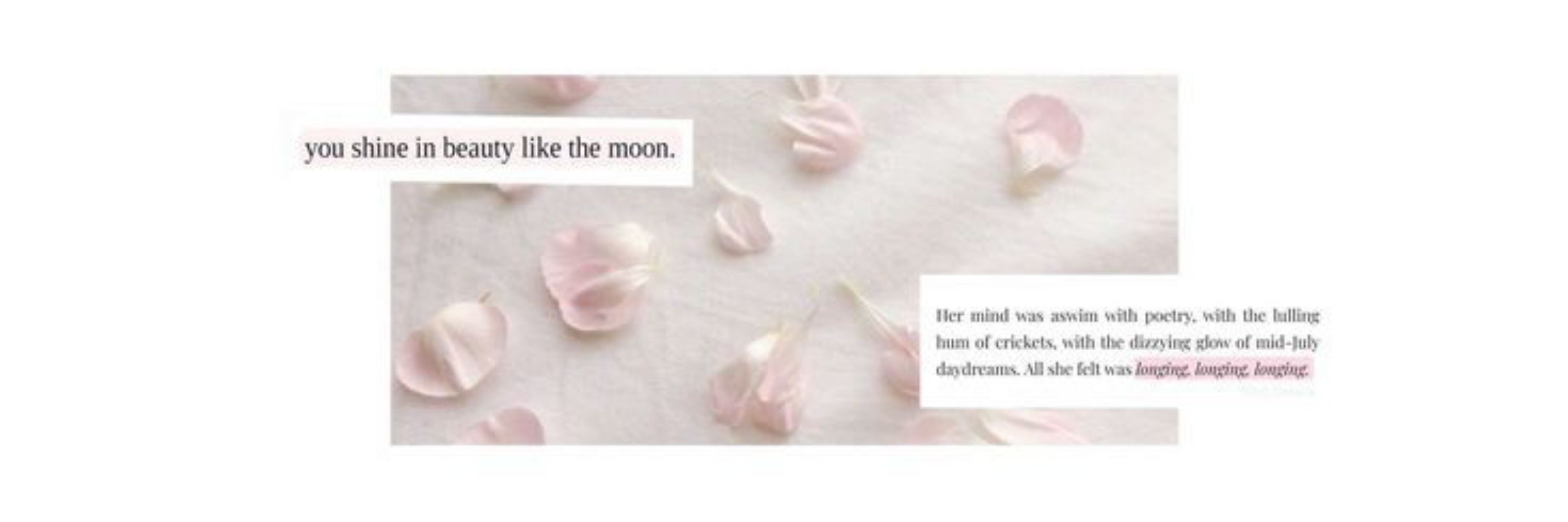 Meredith.
