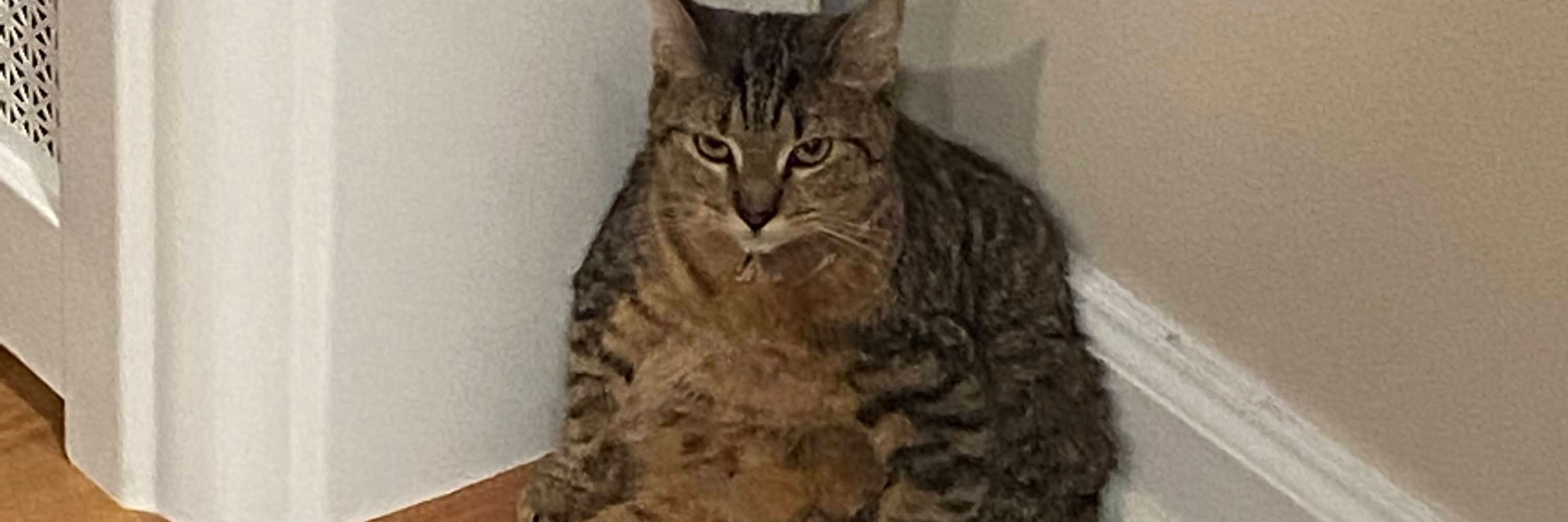 Poka