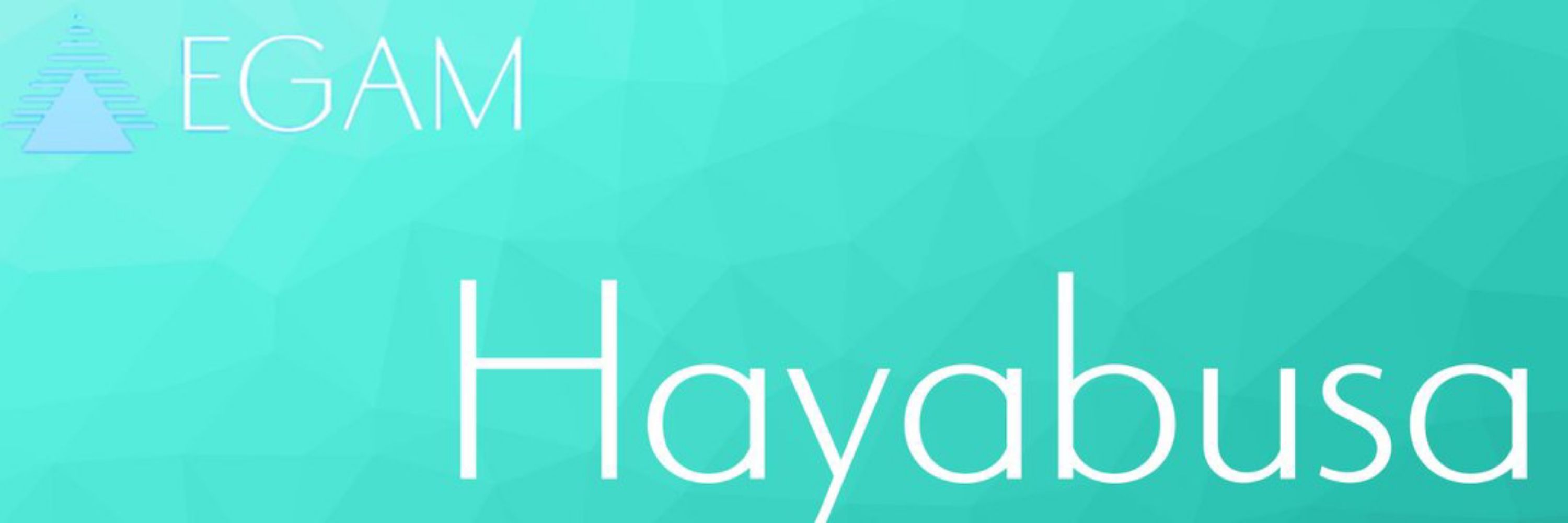 HAYABUSA