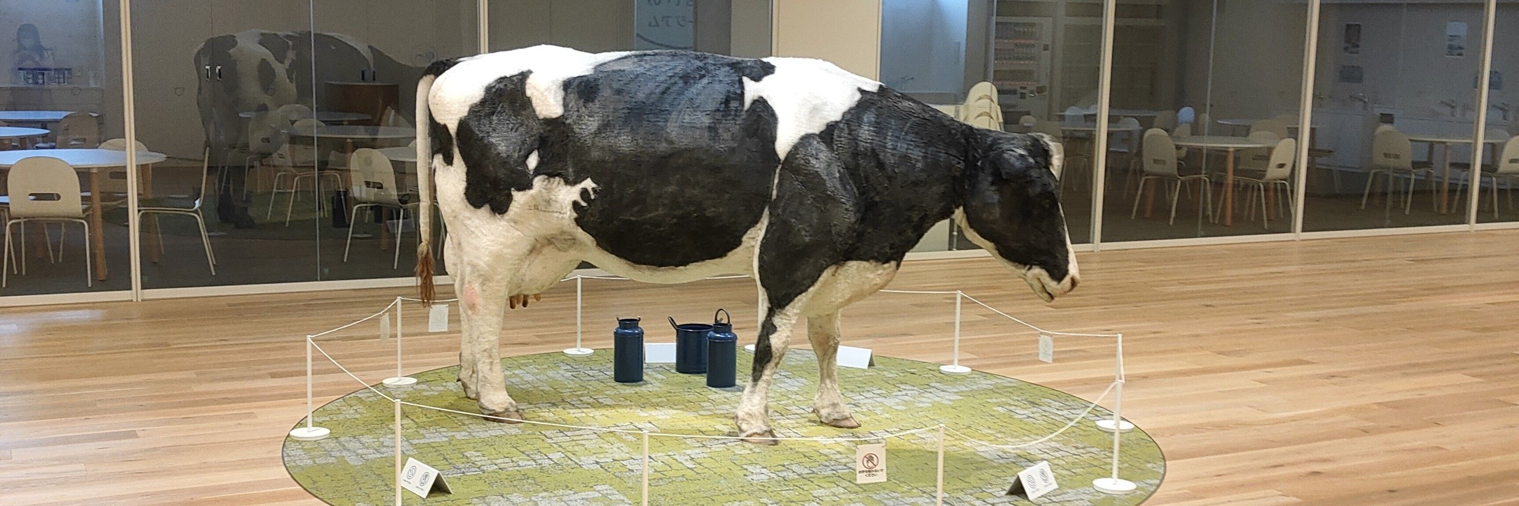 よしだ