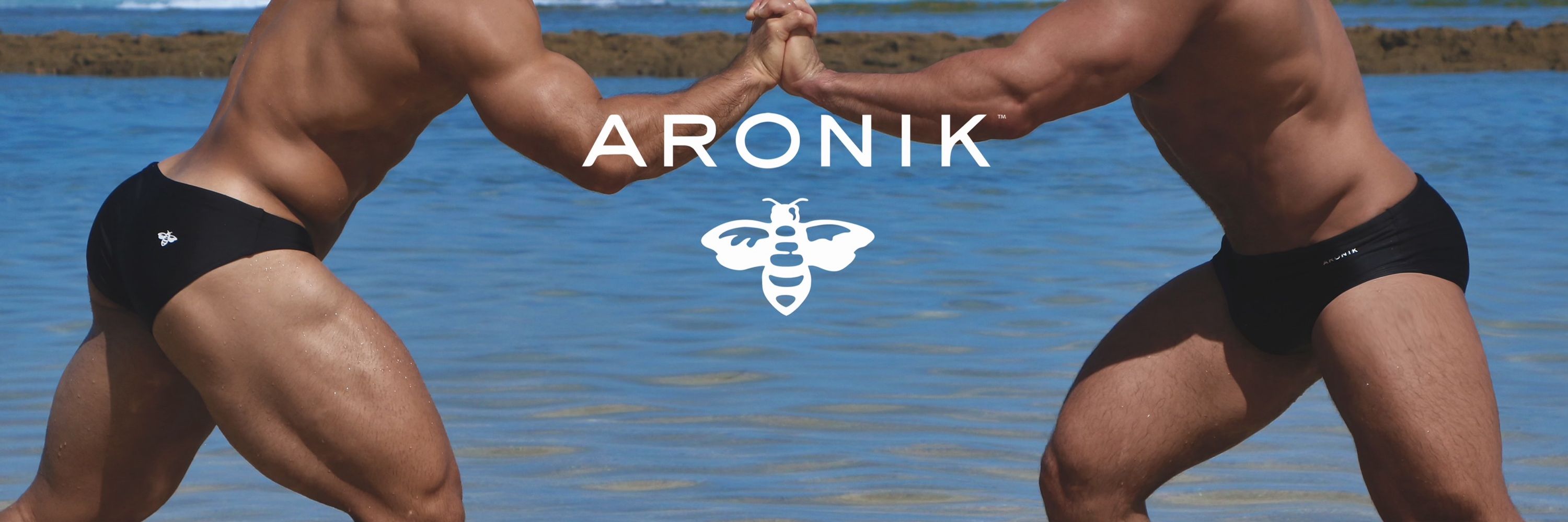 Aronikswim