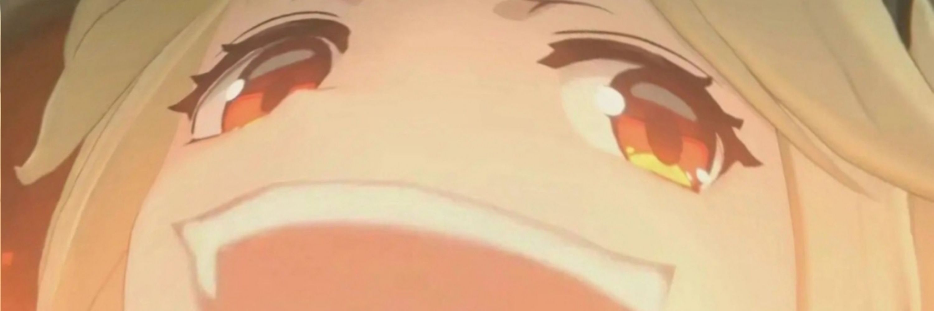 IrbAdven