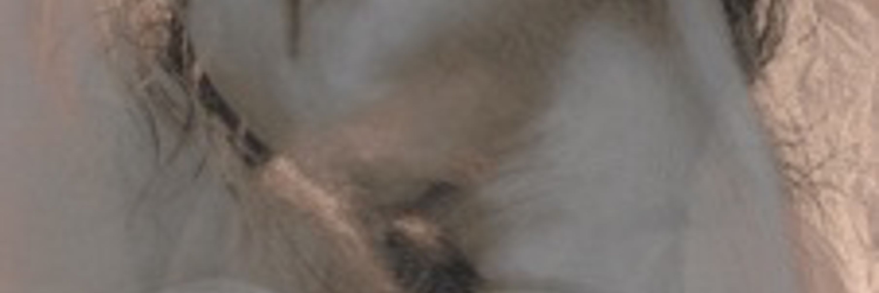 Markthought