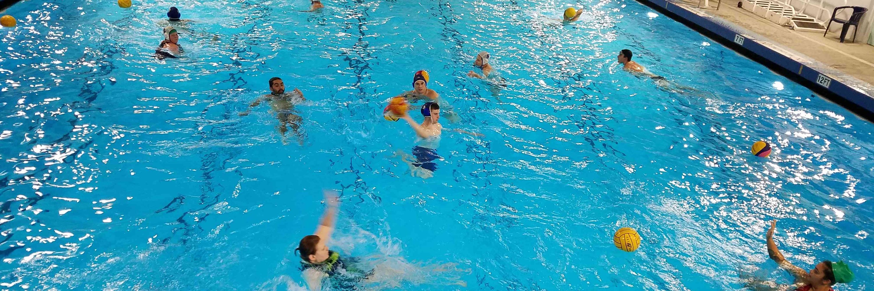 DASpolo12