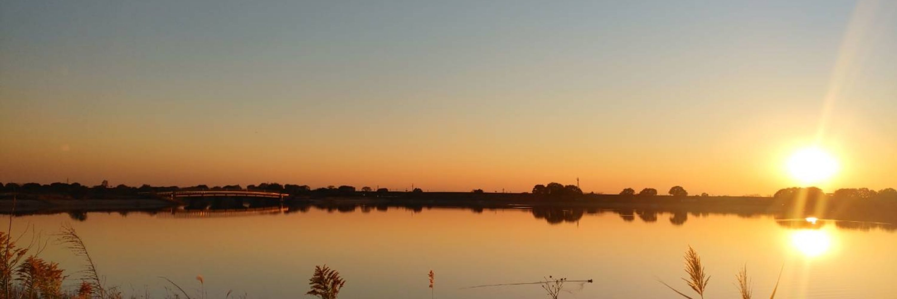maariikkuumaa