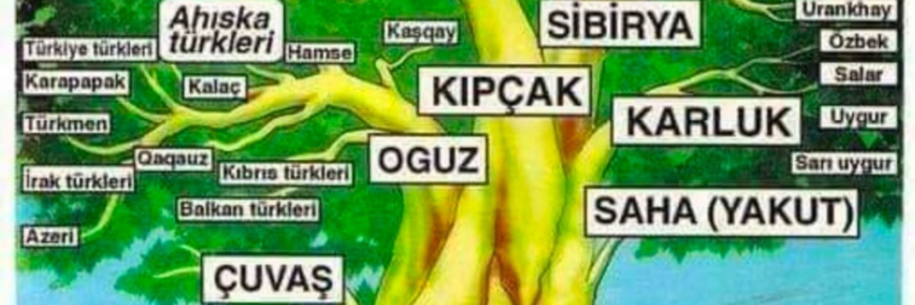 Üzeyir