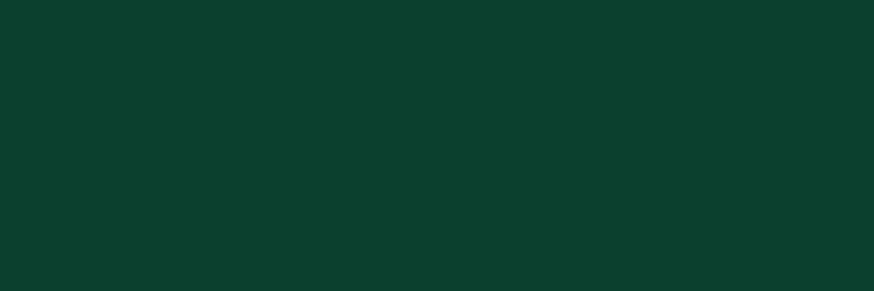 lidipon
