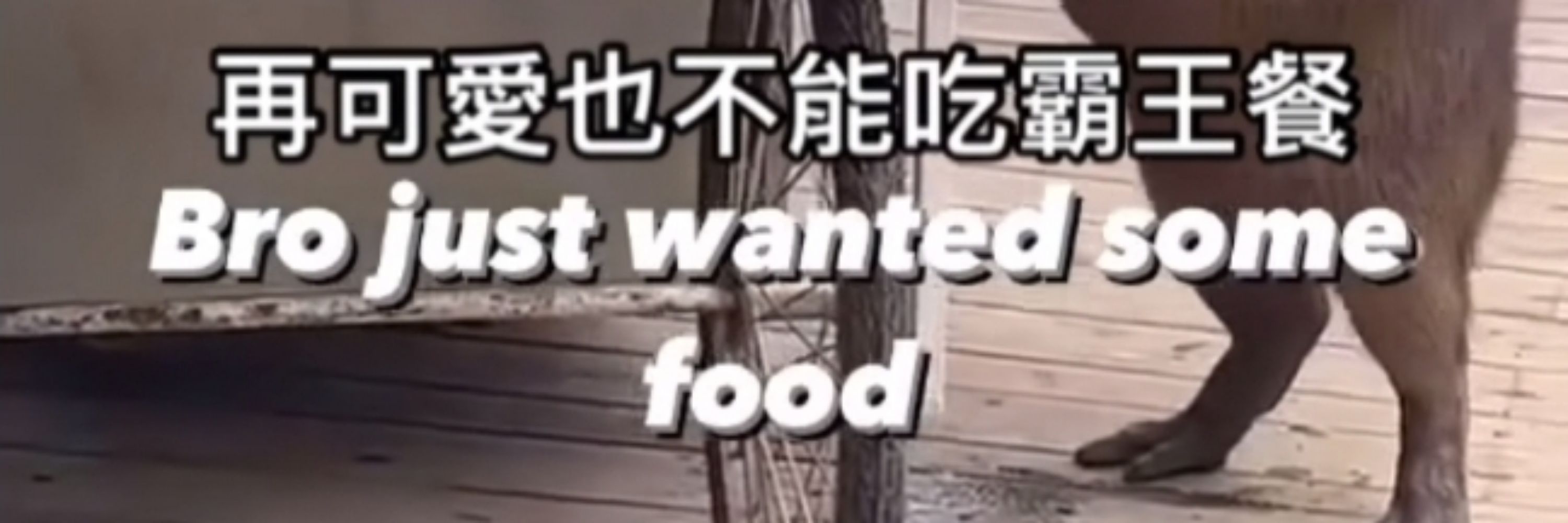 微雞胸肉恐懼症Na