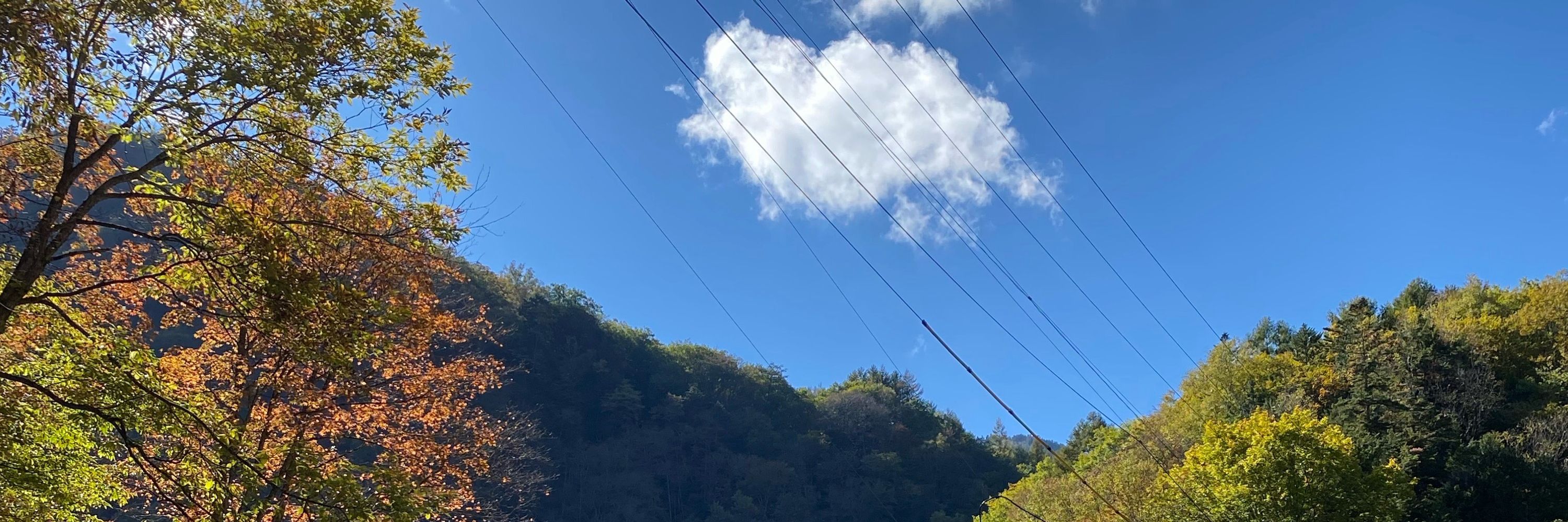 んたけむ