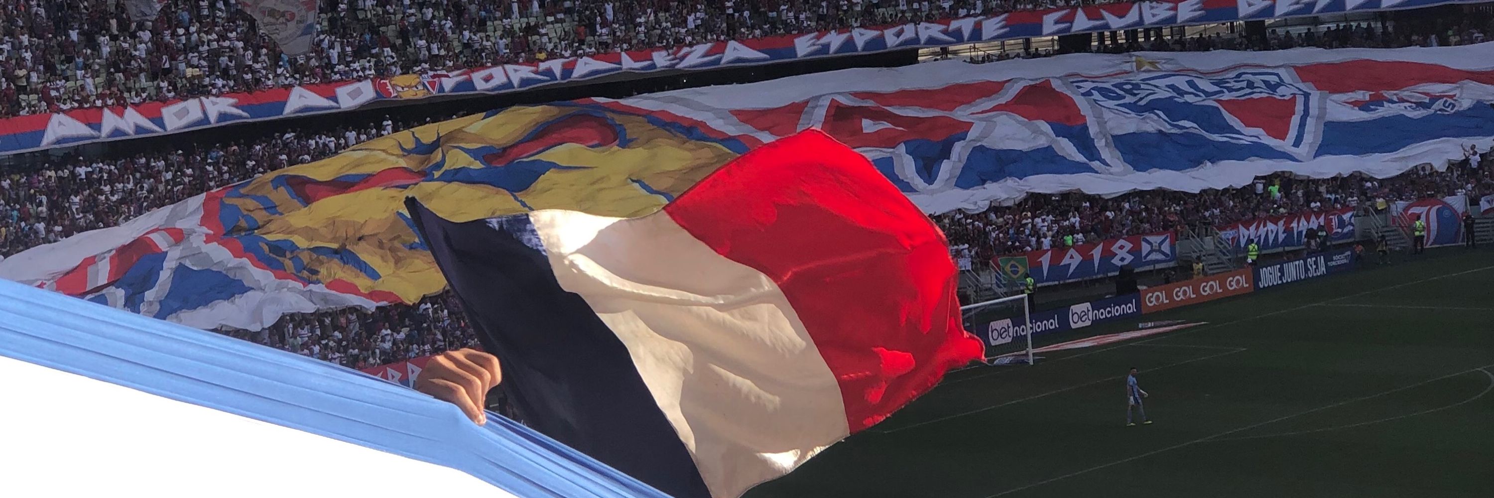 PR 🇫🇷🦁