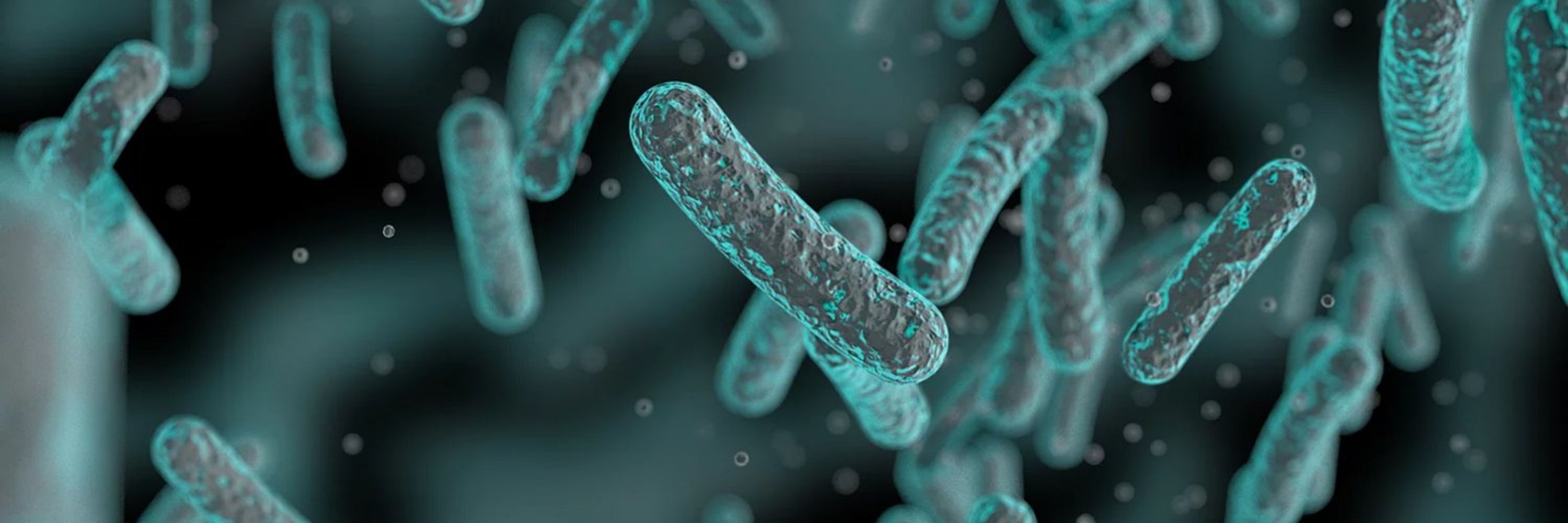 Current Research in Microbial Sciences