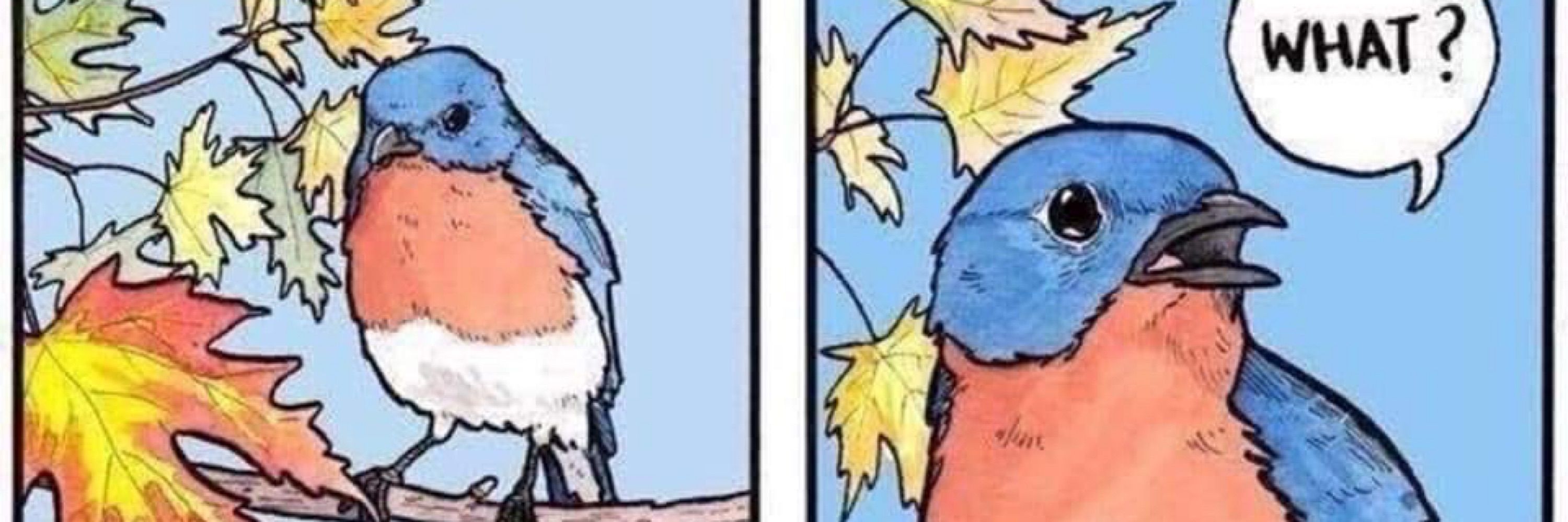 Ja