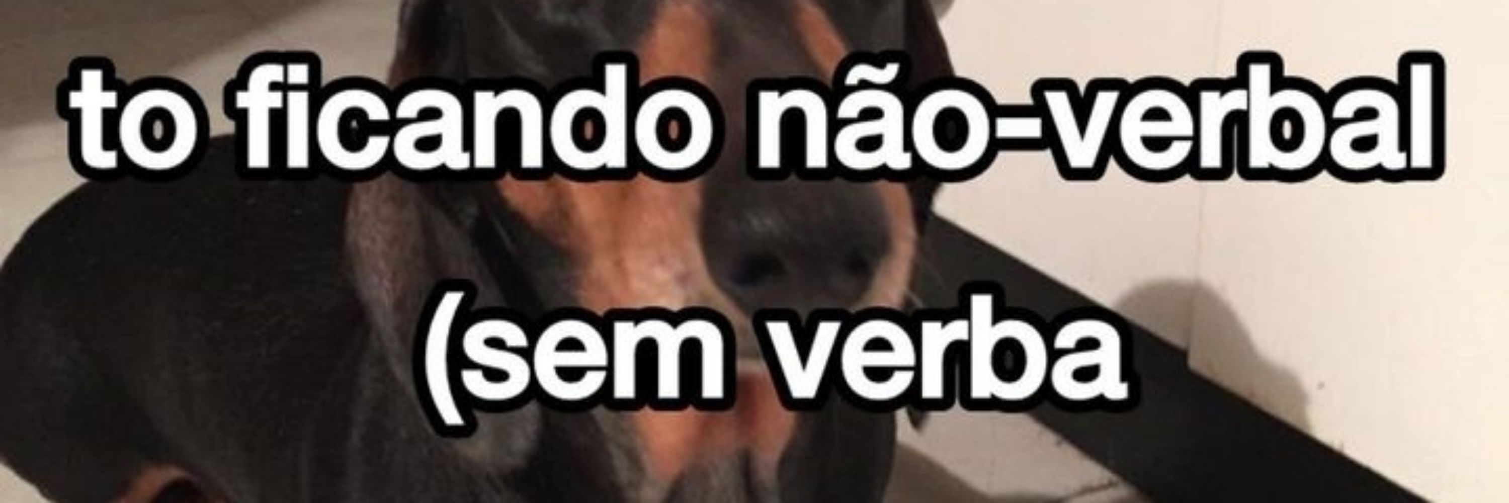Jethro Tull da Silva