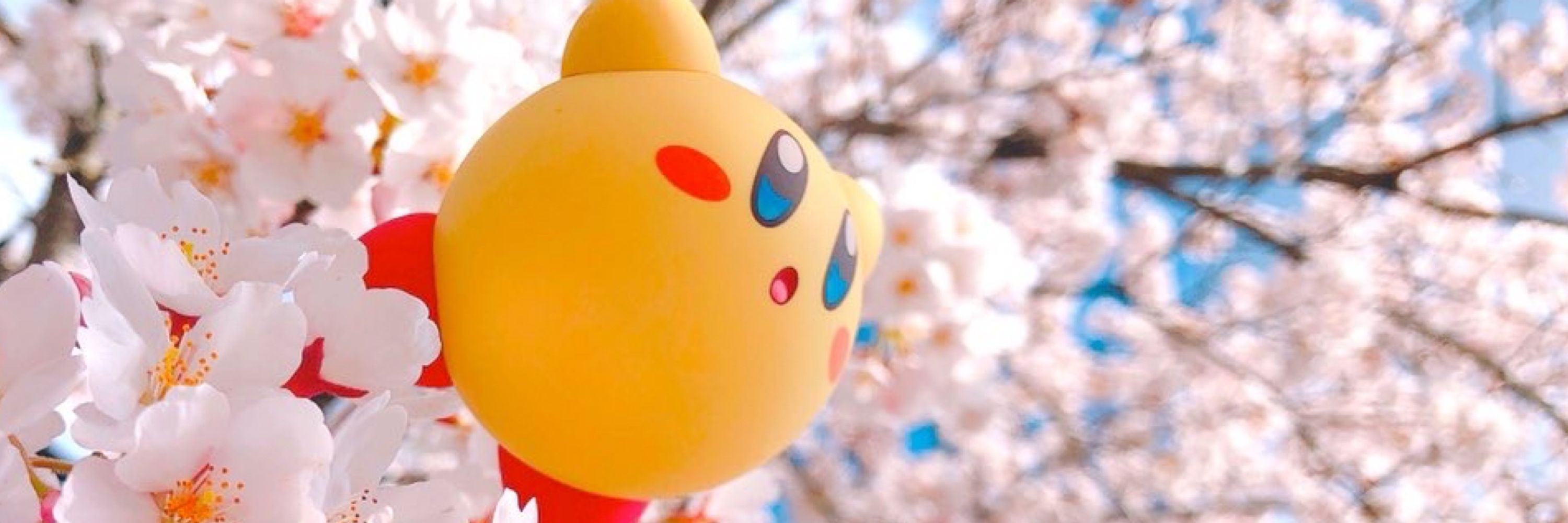きなこもち