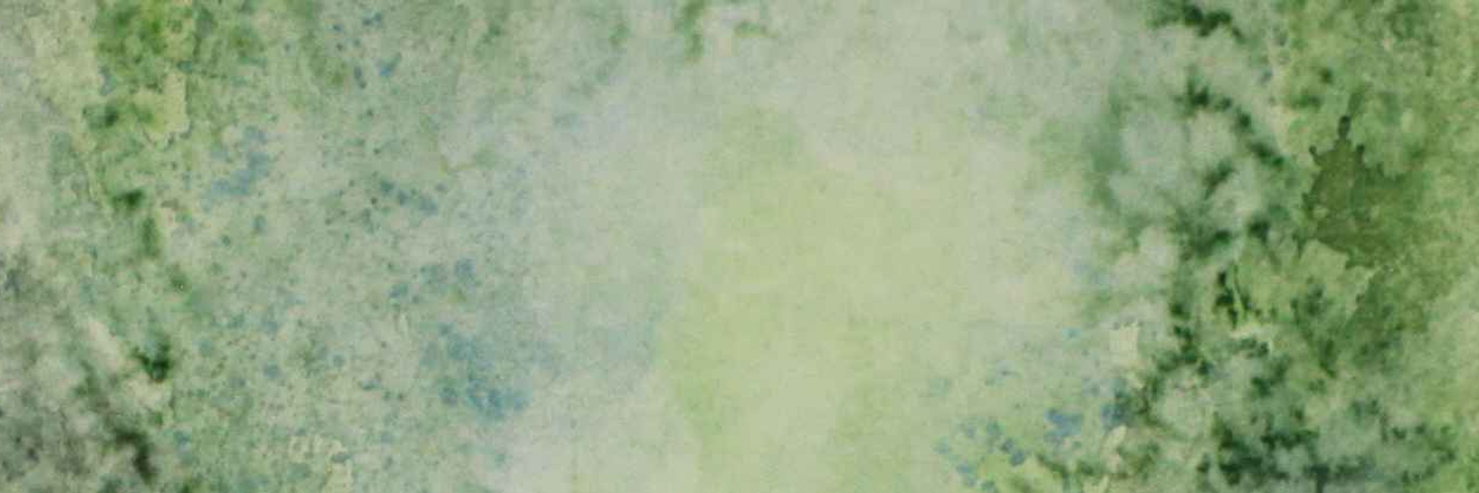 Horst