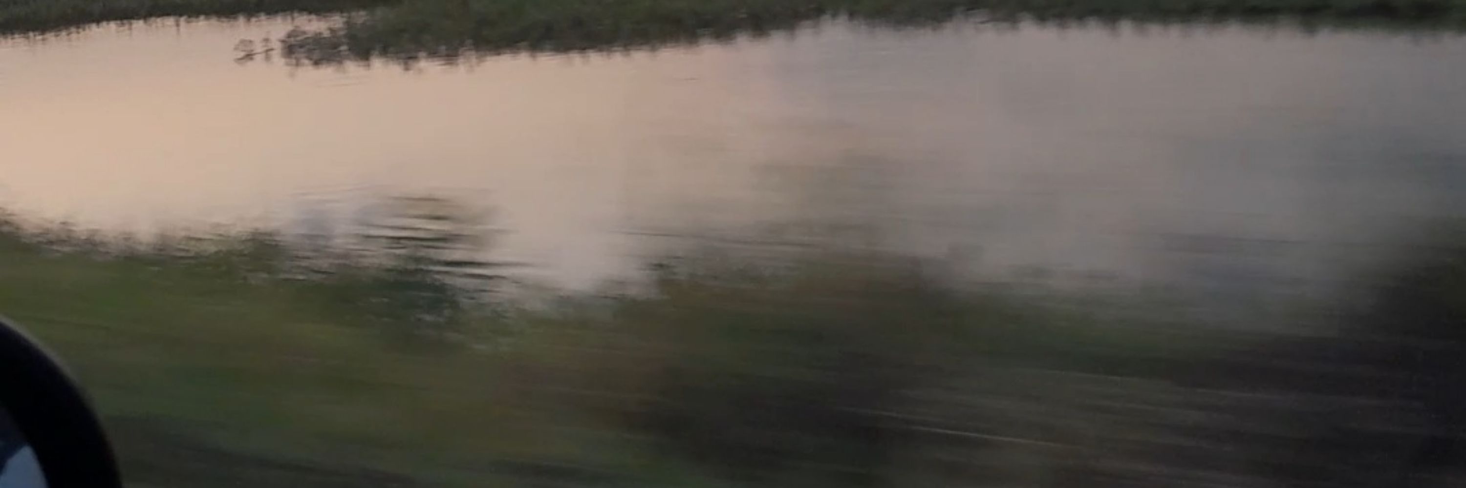 Fernando 💨
