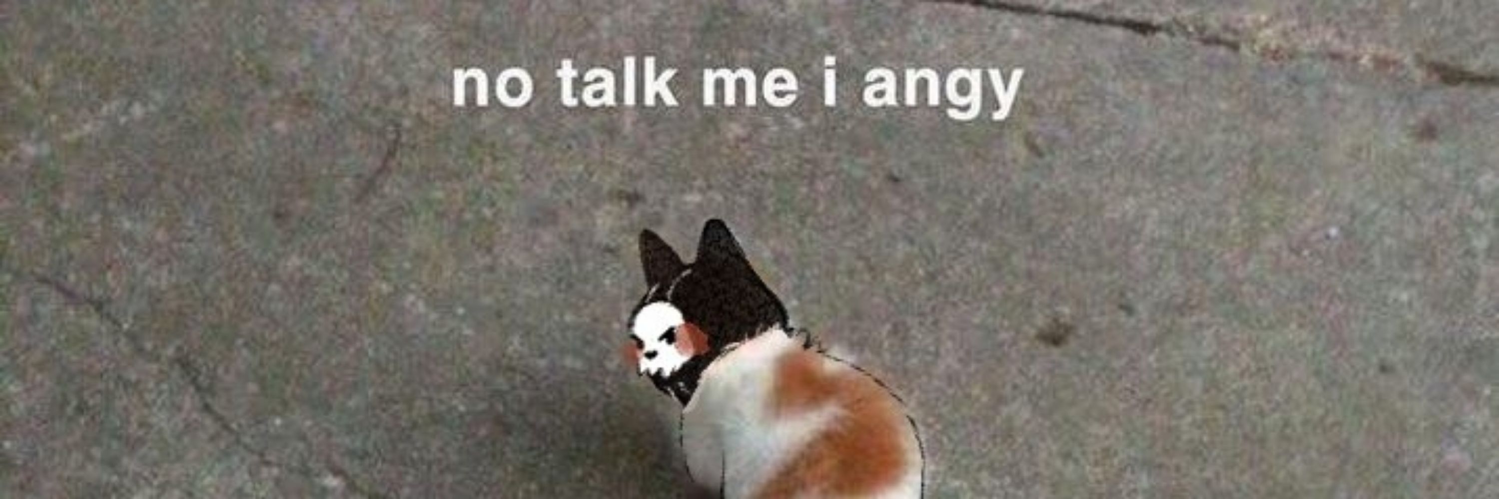 Taro