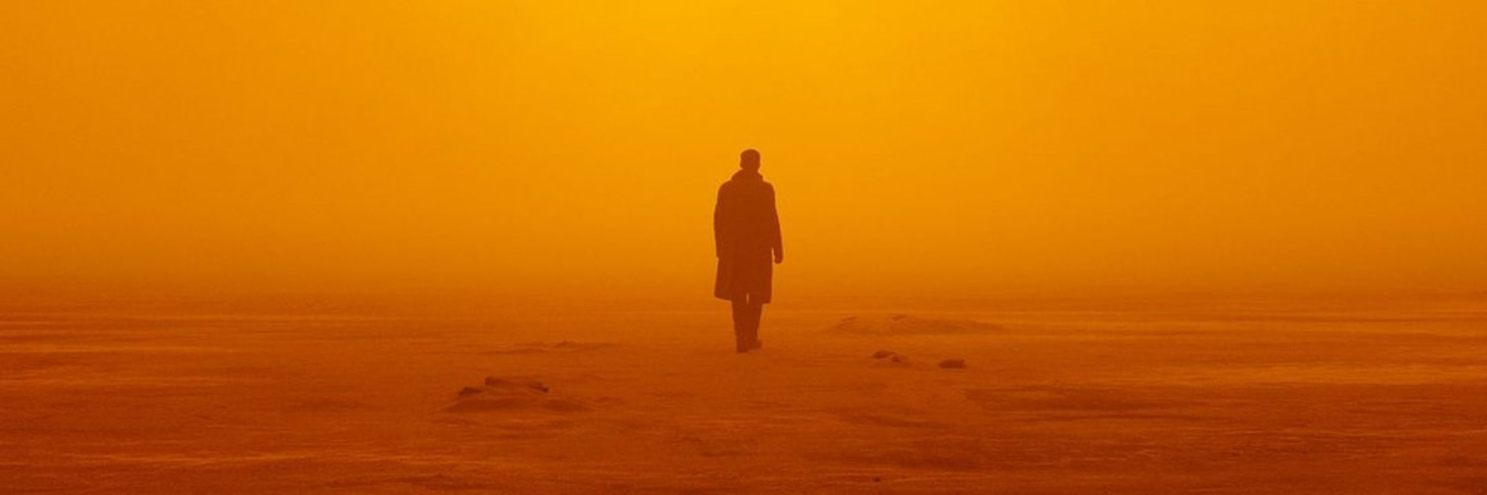 Blade Runner 2049 Fan