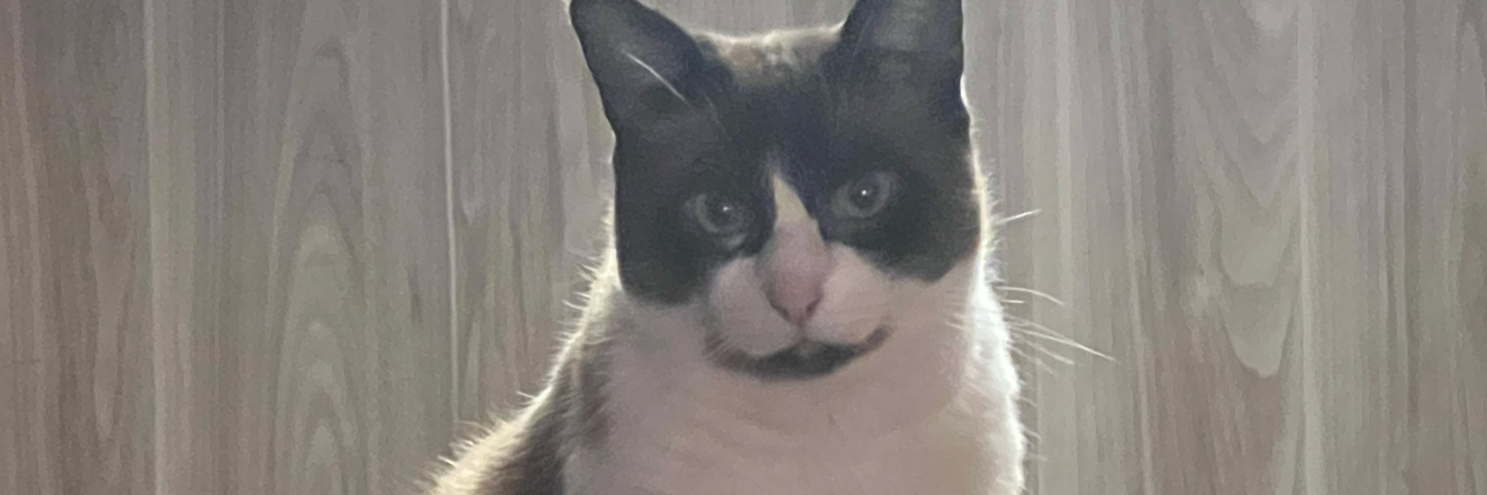 Leandro Neko