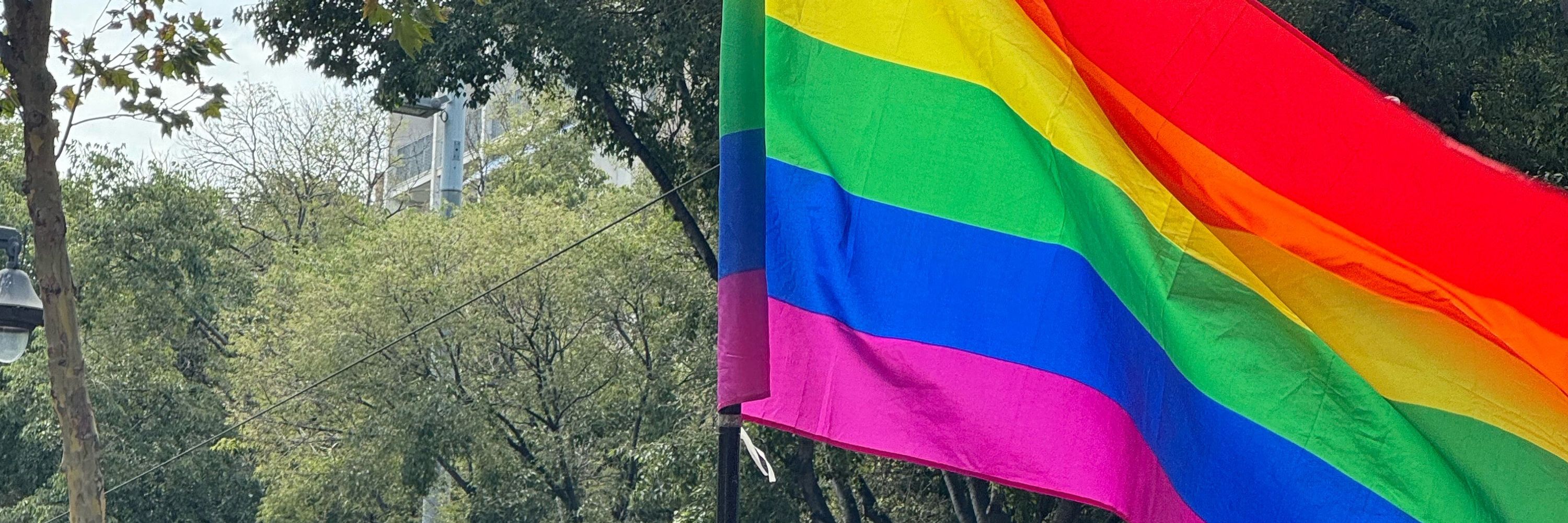 🌈Lucy Chloé est ÉcoQueerFéministe ✊🏻♀🌻🏳️‍🌈