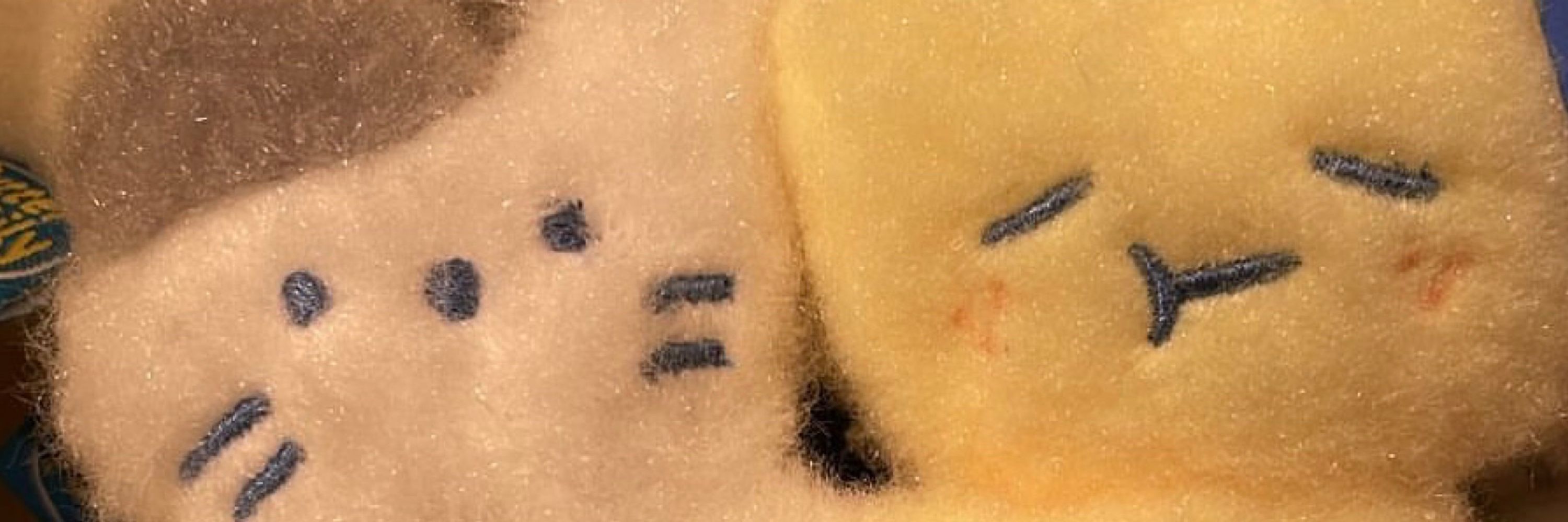 ～塔萊姆ㄉ第二個家～