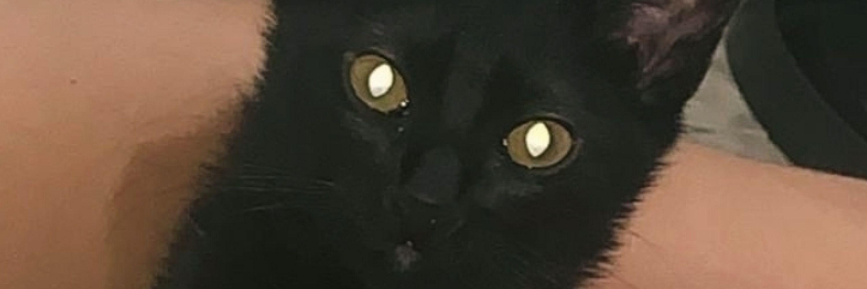 souzinhagi