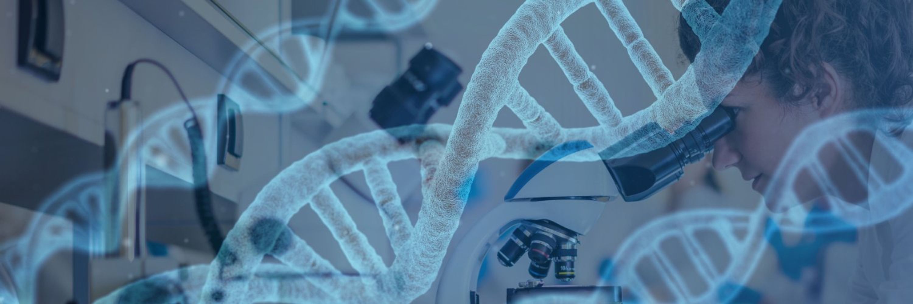 Environmental Mutagenesis and Genomics Society