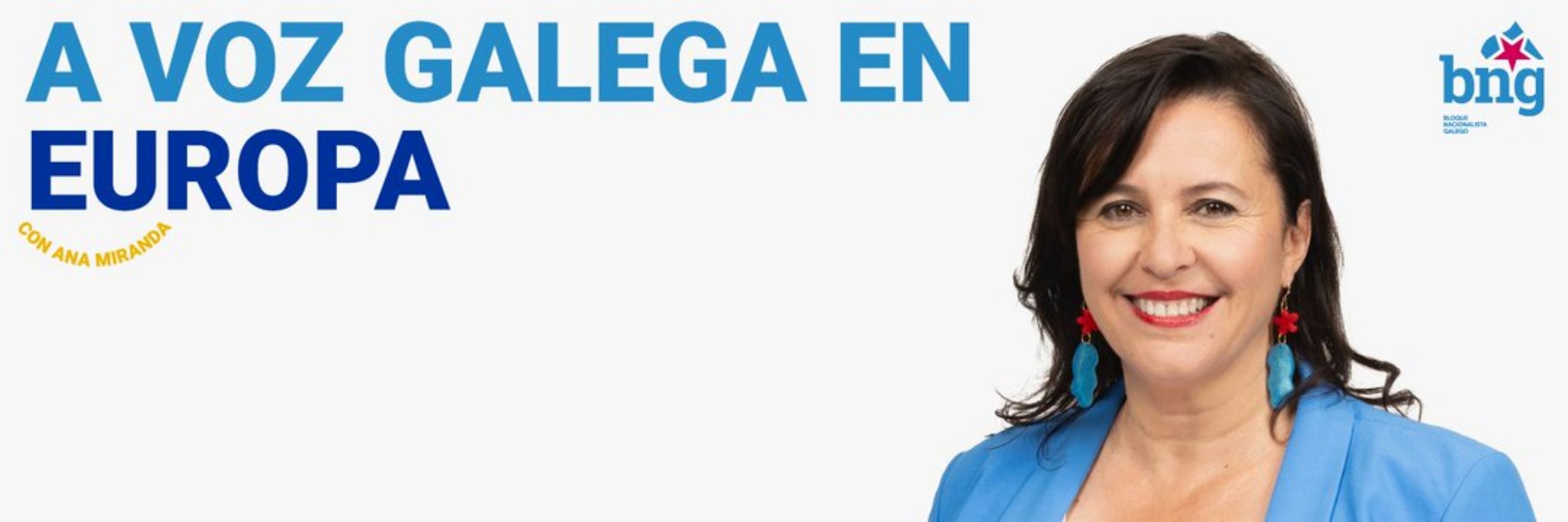 BNG Parlamento Europeo