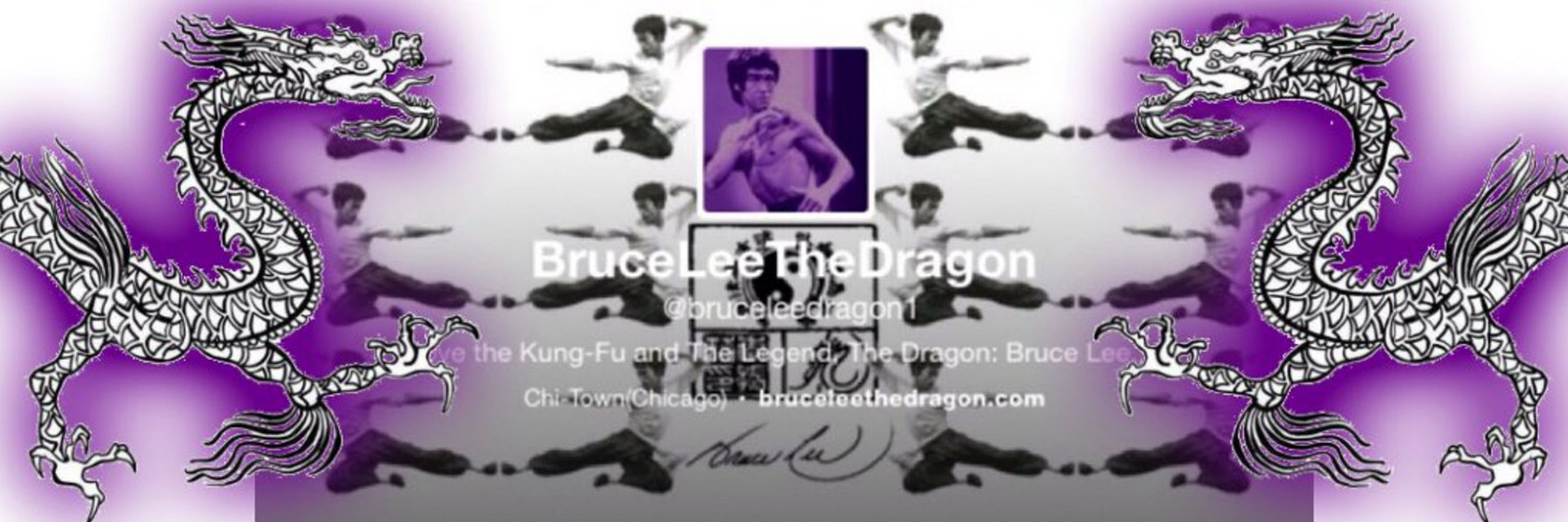Bruce Lee The Dragon