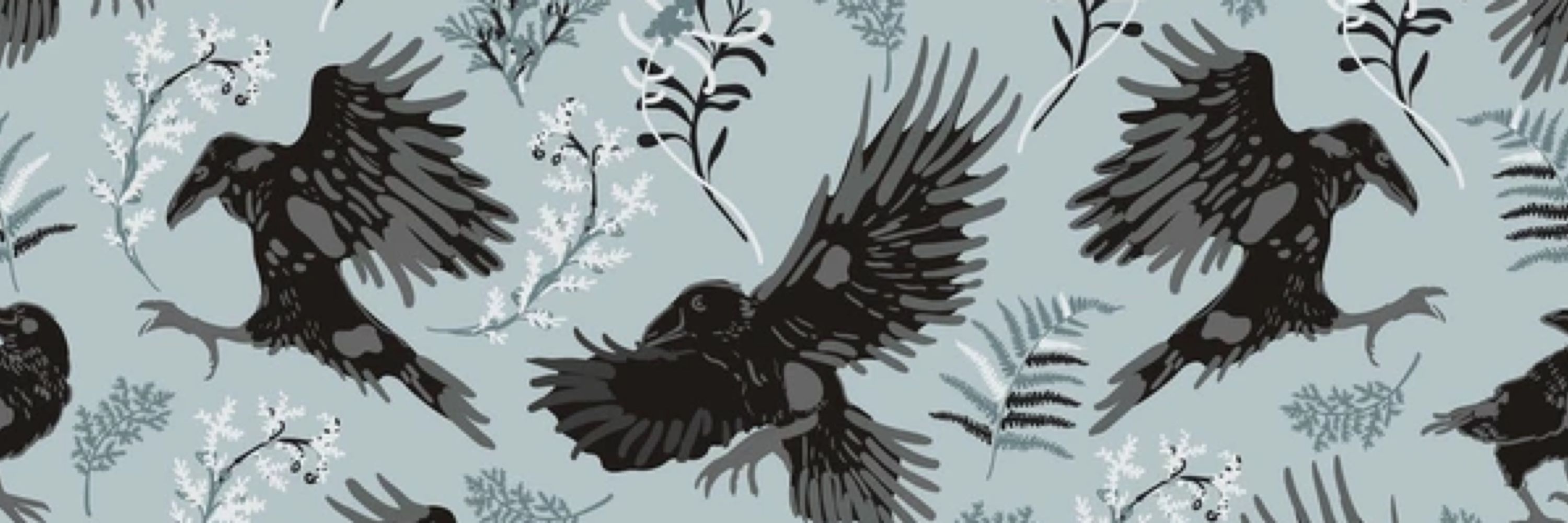🪶🖤Crow Halfcrow🖤🪶
