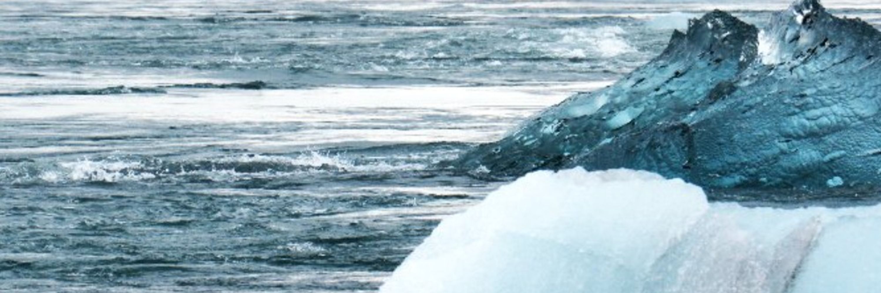 UCS Climate & Accountability Campaigns