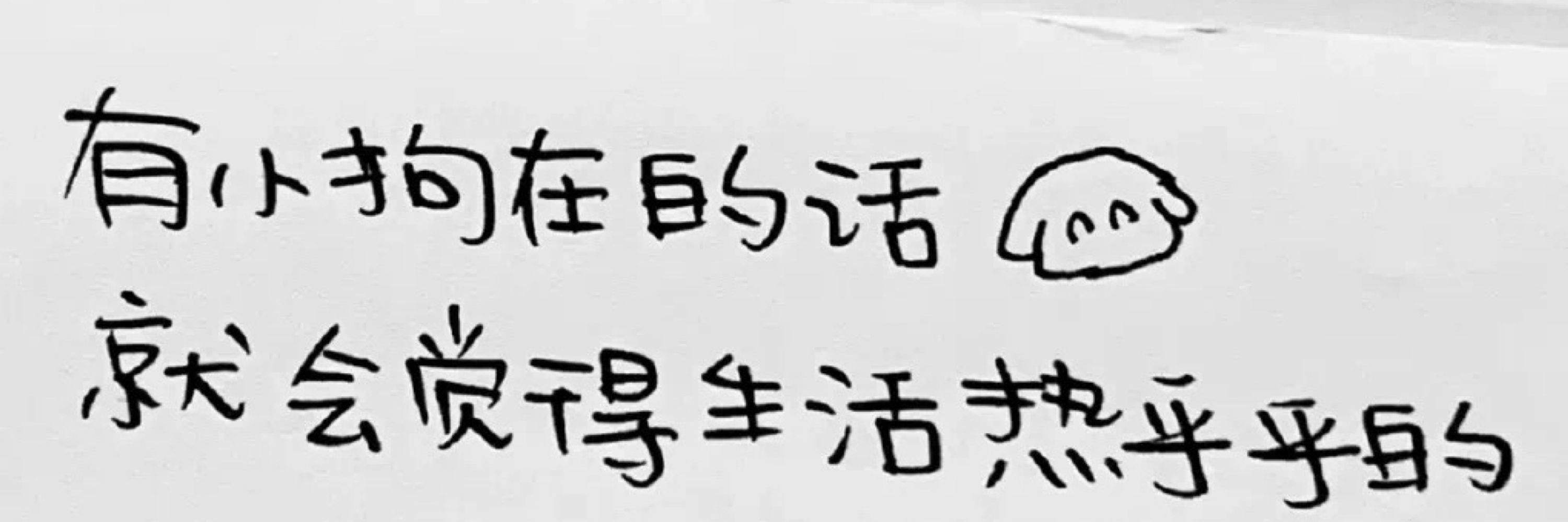 潮吹熊