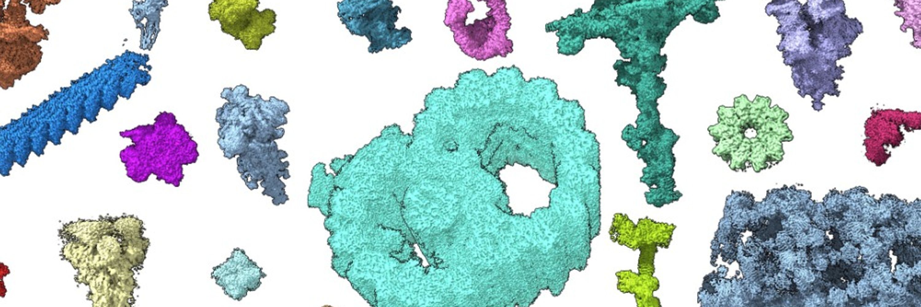 Harvard Cryo-EM Center for Structural Biology